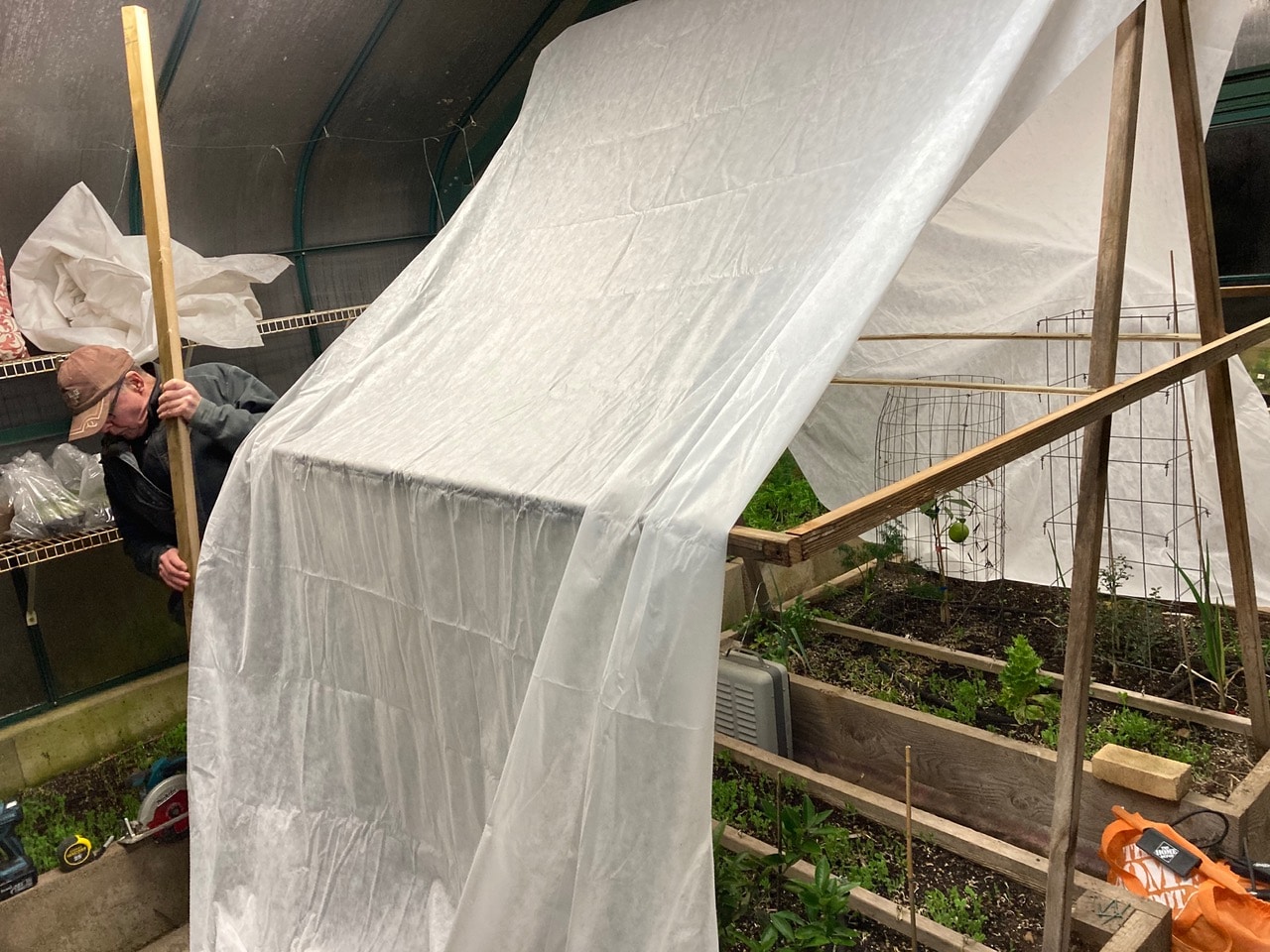 Helpful Husband sets up a fabric shelter inside my greenhouse