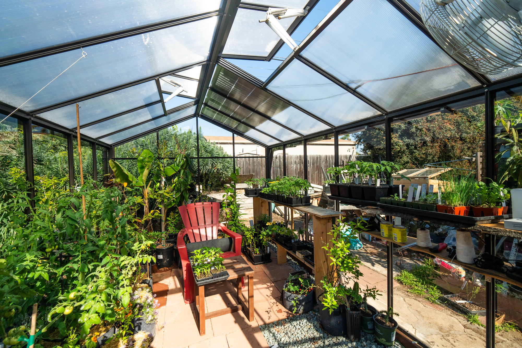Inside a Traditional greenhouse by BC greenhouse builder with a red chair. large plants and lots of seed trays on shelves along the sidewall of the greenhouse