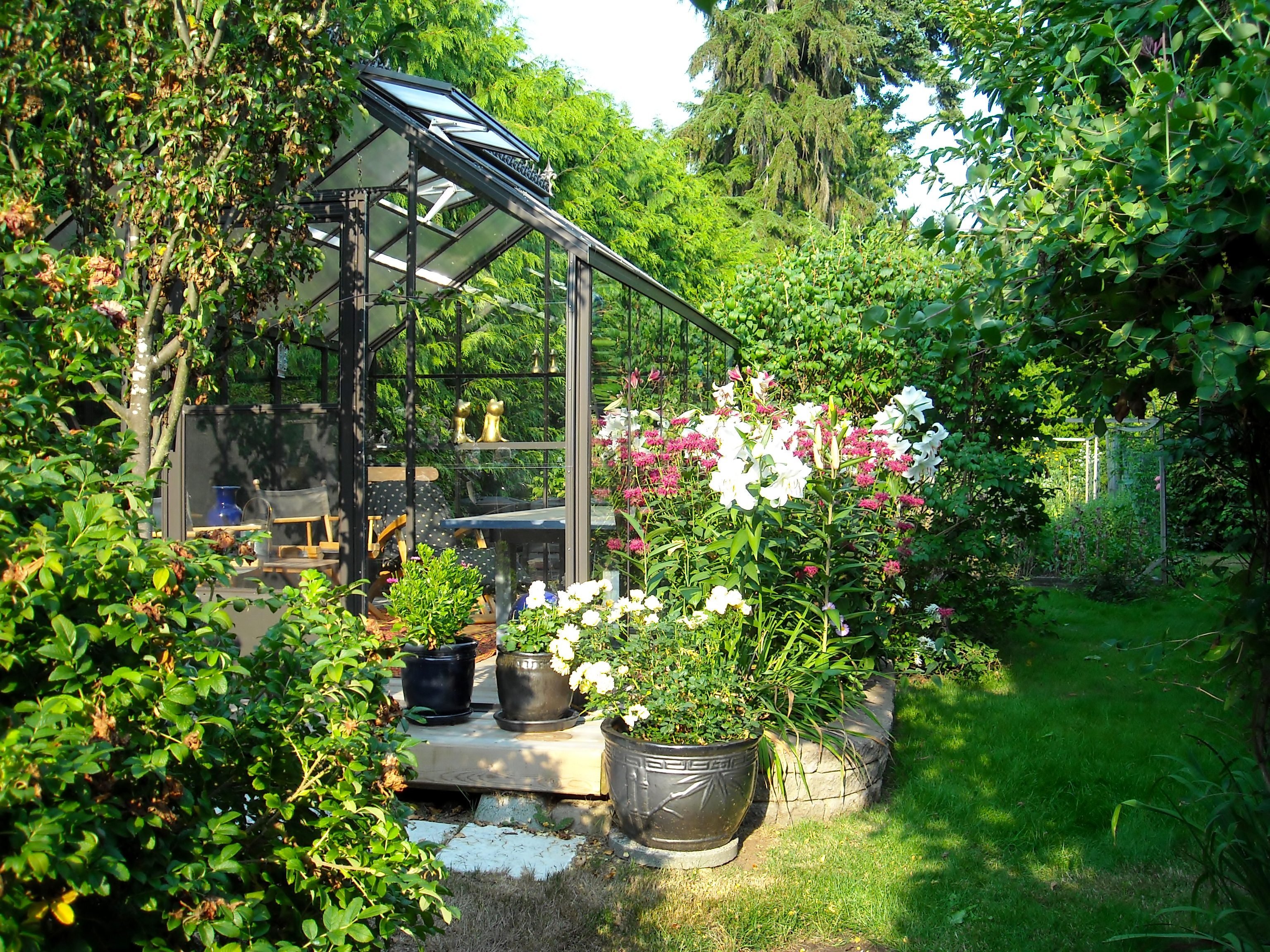 Cottage BC Greenhouse in brown size 8x12 with single glass glazing