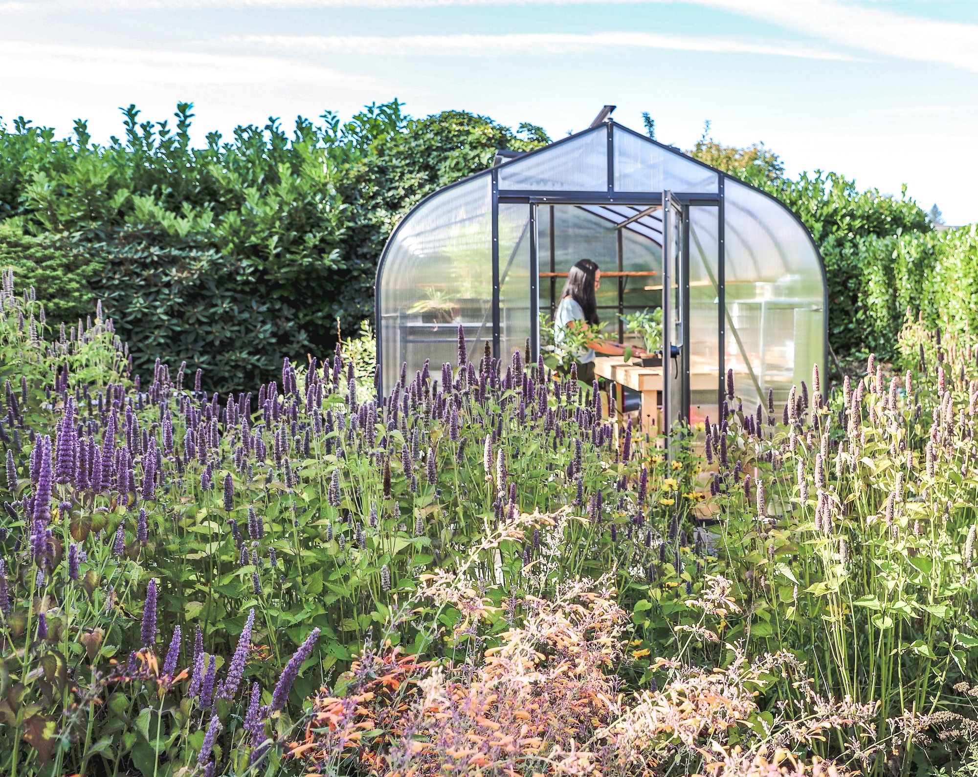 Chung FCP812TW-8795-1 Chung FCP812TW-8795-1