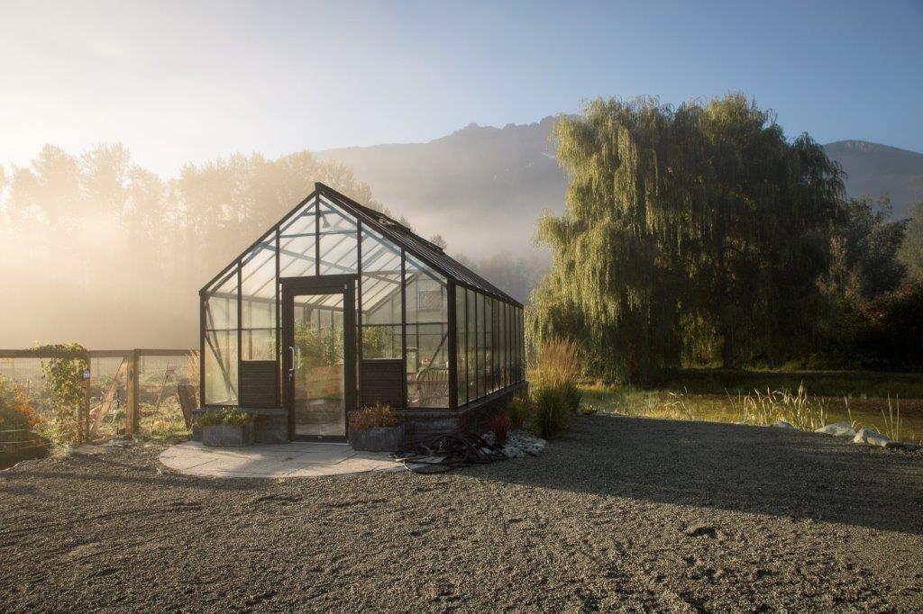 Cottage greenhouse on foggy morning