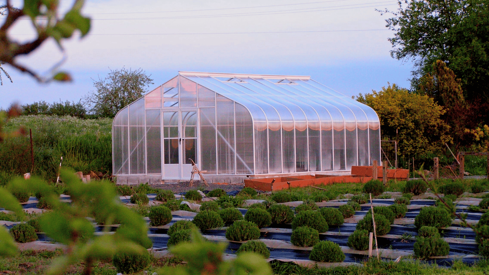My April Greenhouse - Cleaning (Twitter Post)