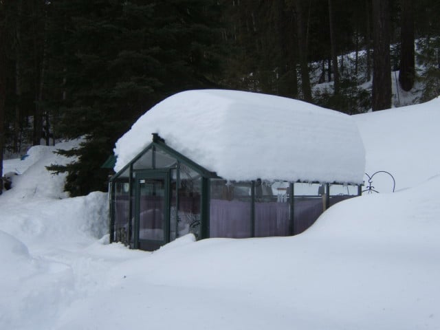 snowy greenhouse!