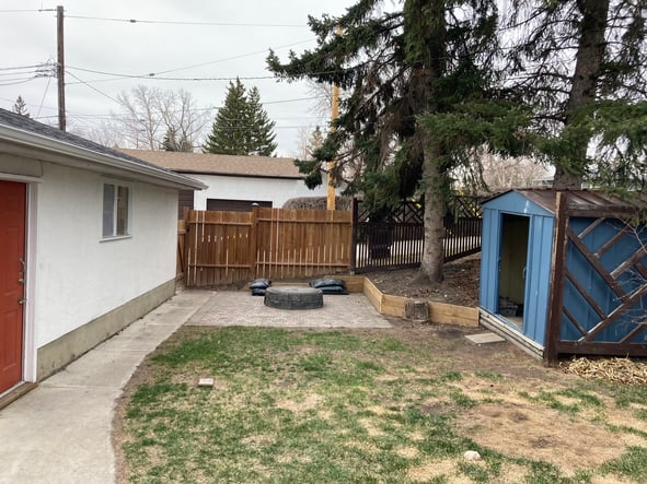 new backyard before trees were up rooted