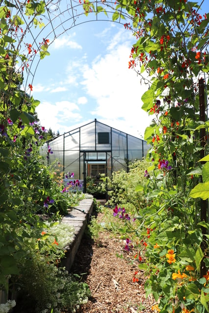 green pacific greenhouse with flower arch in front of it