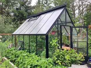 Jam packed greenhouse in summer