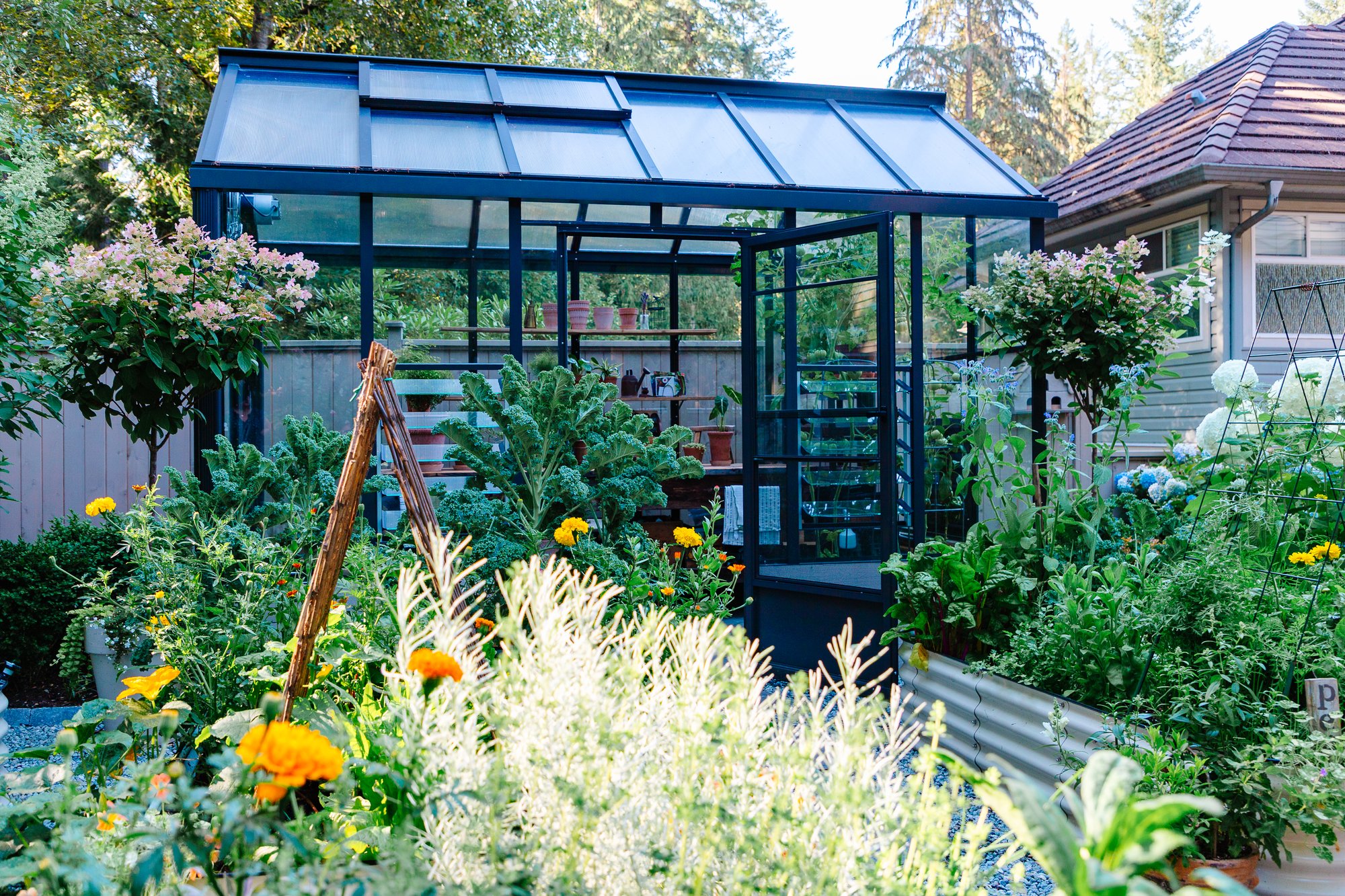 McMahon, Dina CT612SG6TW+ -3750