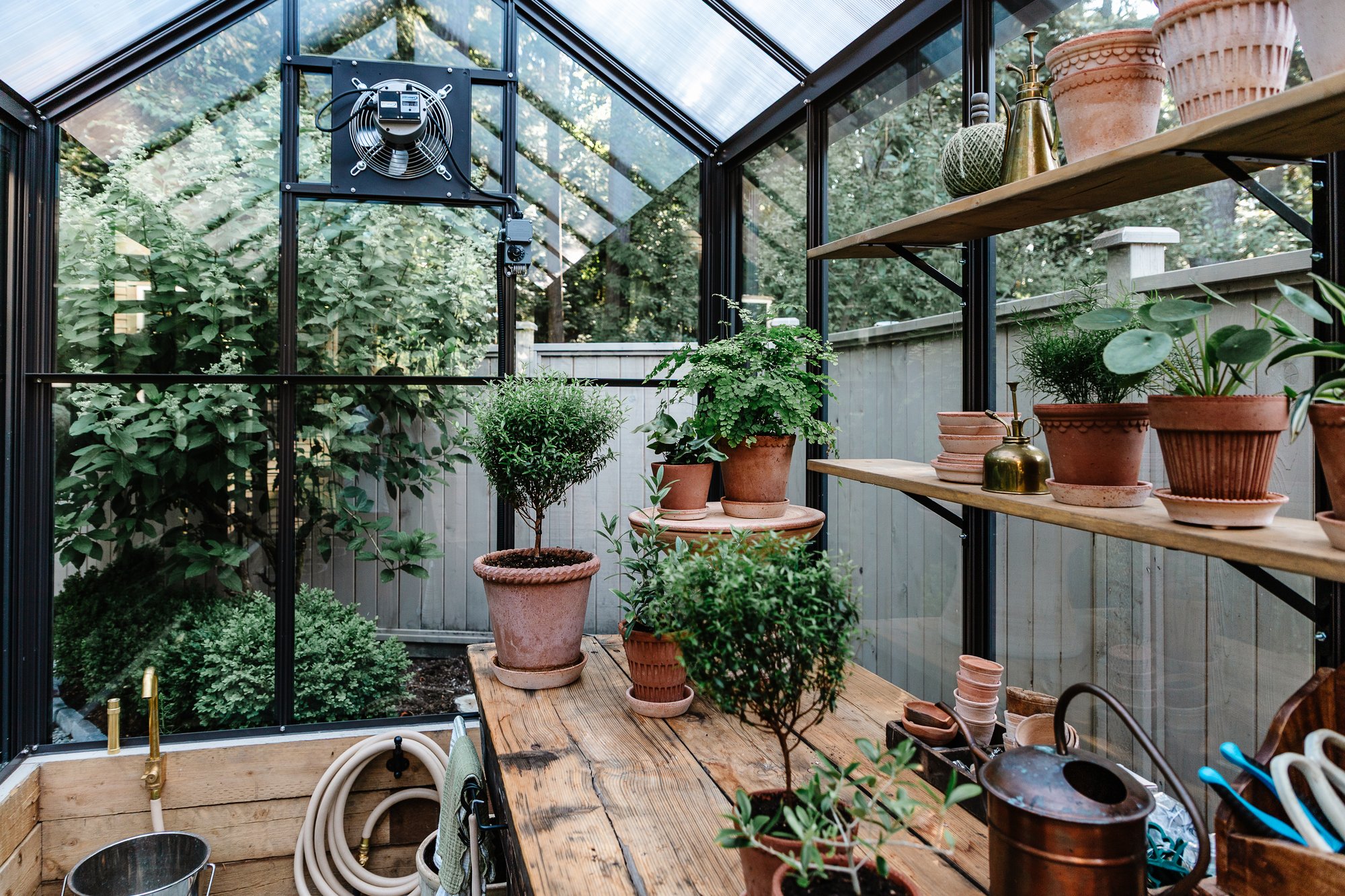 McMahon, Dina CT612SG6TW+ -3780