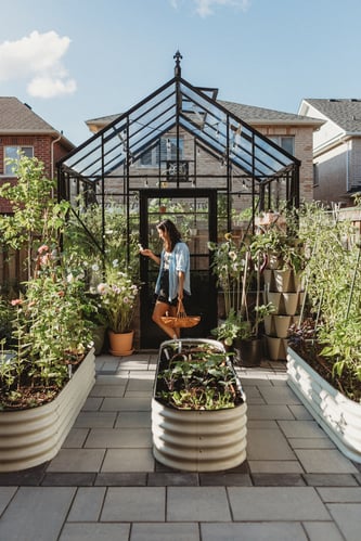 Modern Monstera - Image 6-3