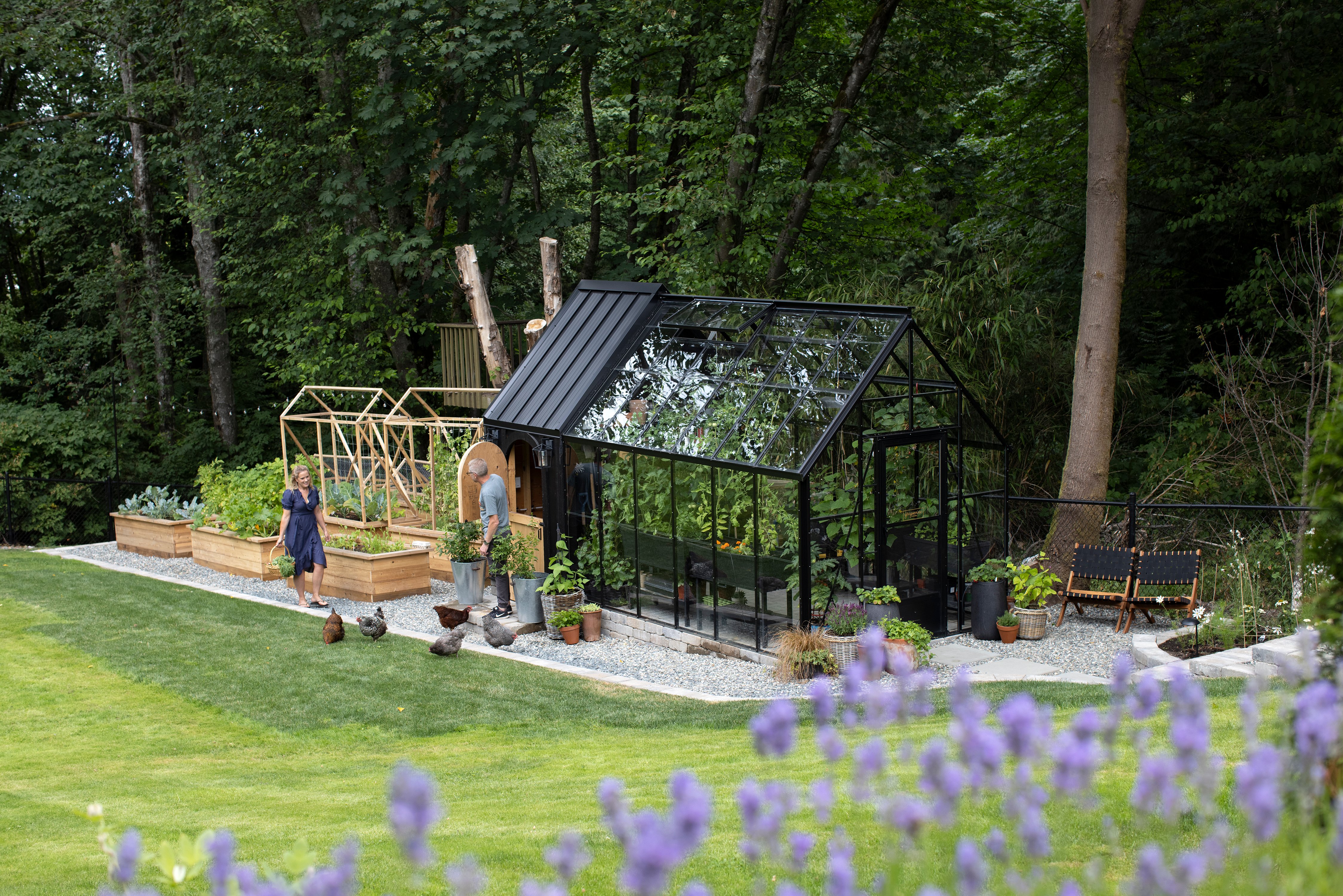 Black greenhouse and chicken coop with people and chickens in front of it