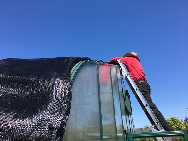 Someone attaching a shade cloth