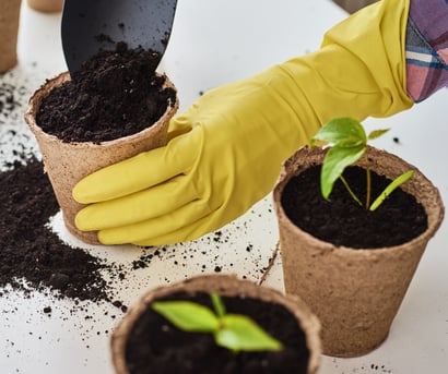 Planting in compostable pots