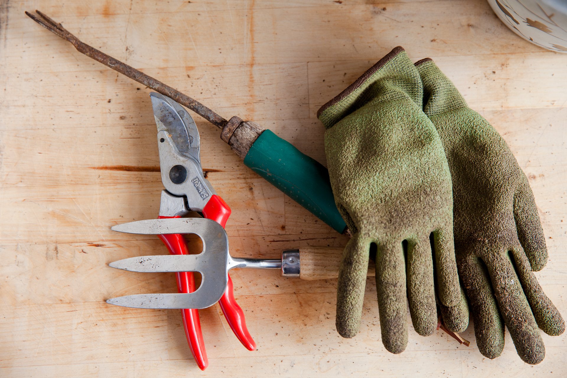 charleys-northern-heritage-cedar-greenhouse-lori-web-69
