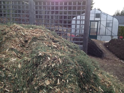 mixed wood chips used to start a hugelkultur