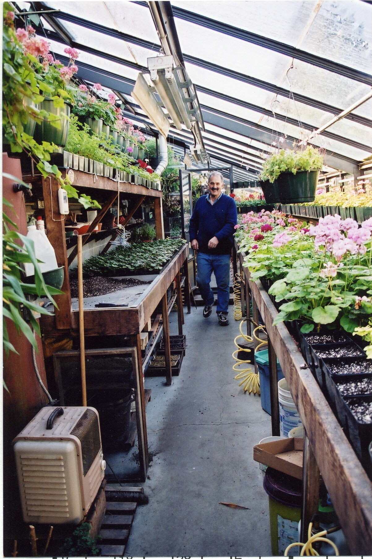 Inside Greenhouse