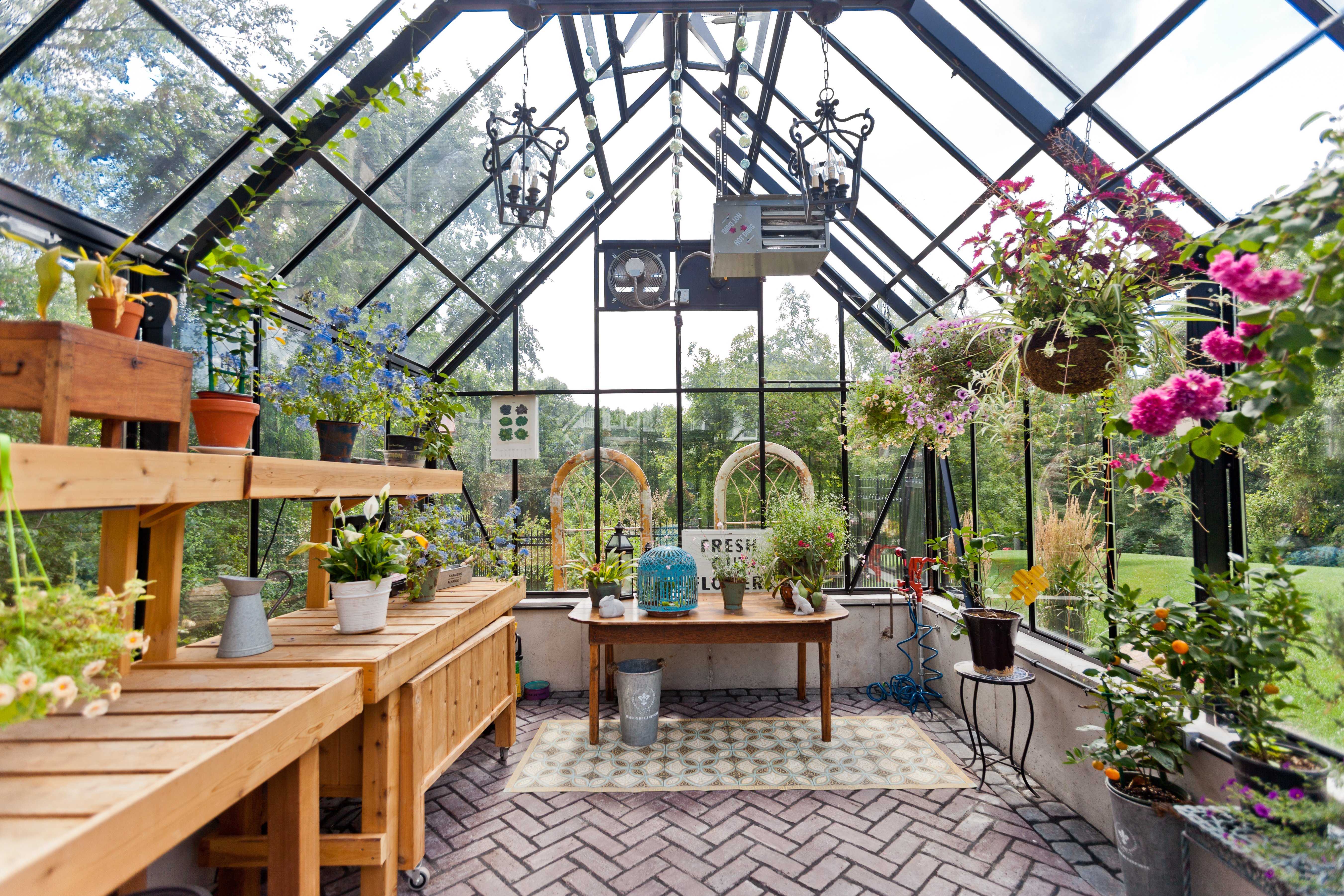 Interior of a BC Greenhouse