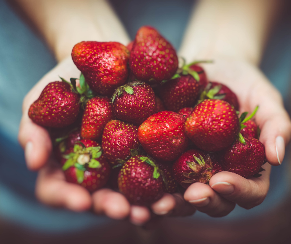 Strawberries in a persons hands
