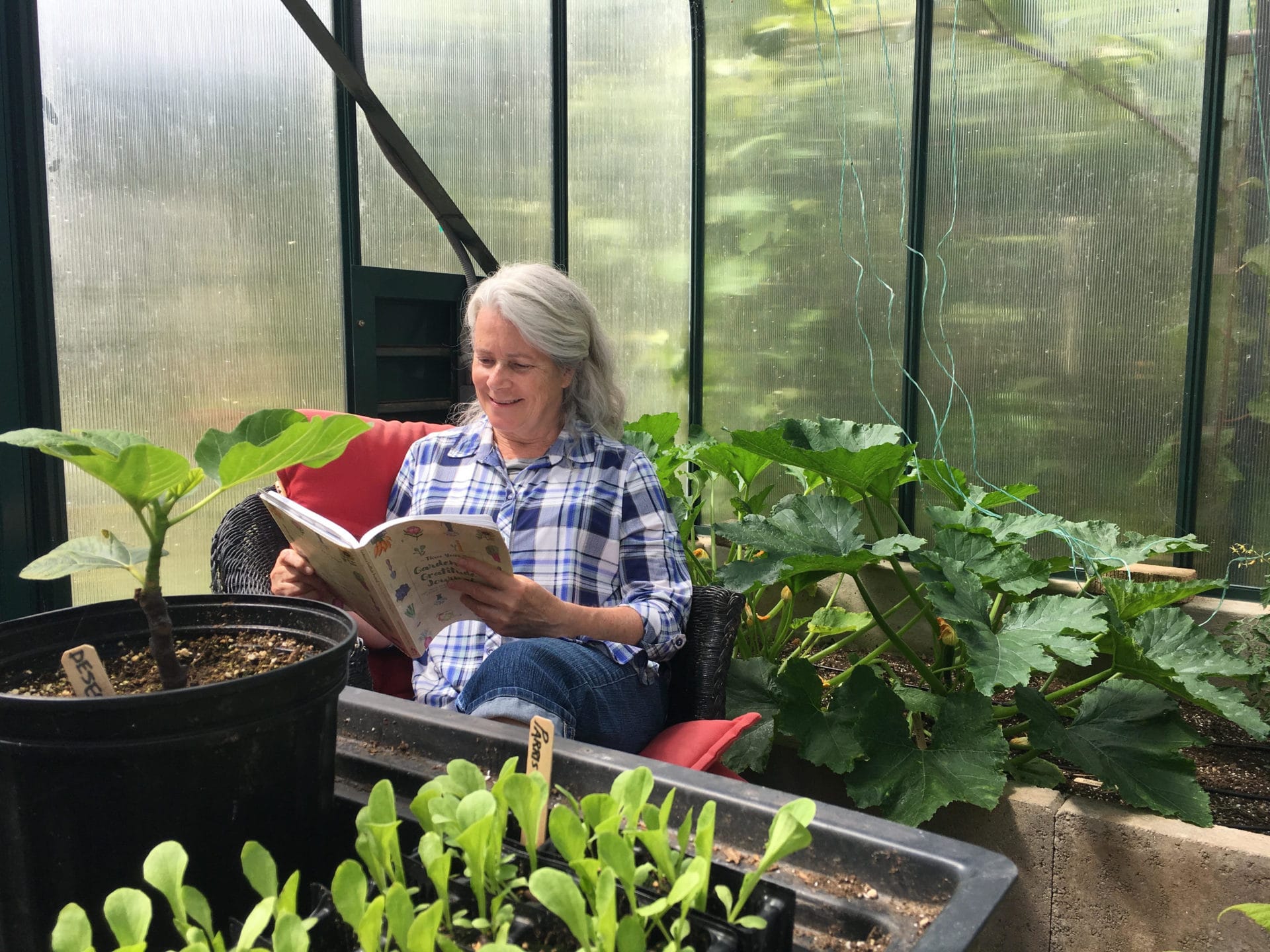 Donna Balzer in her greenhouse, reading a book.