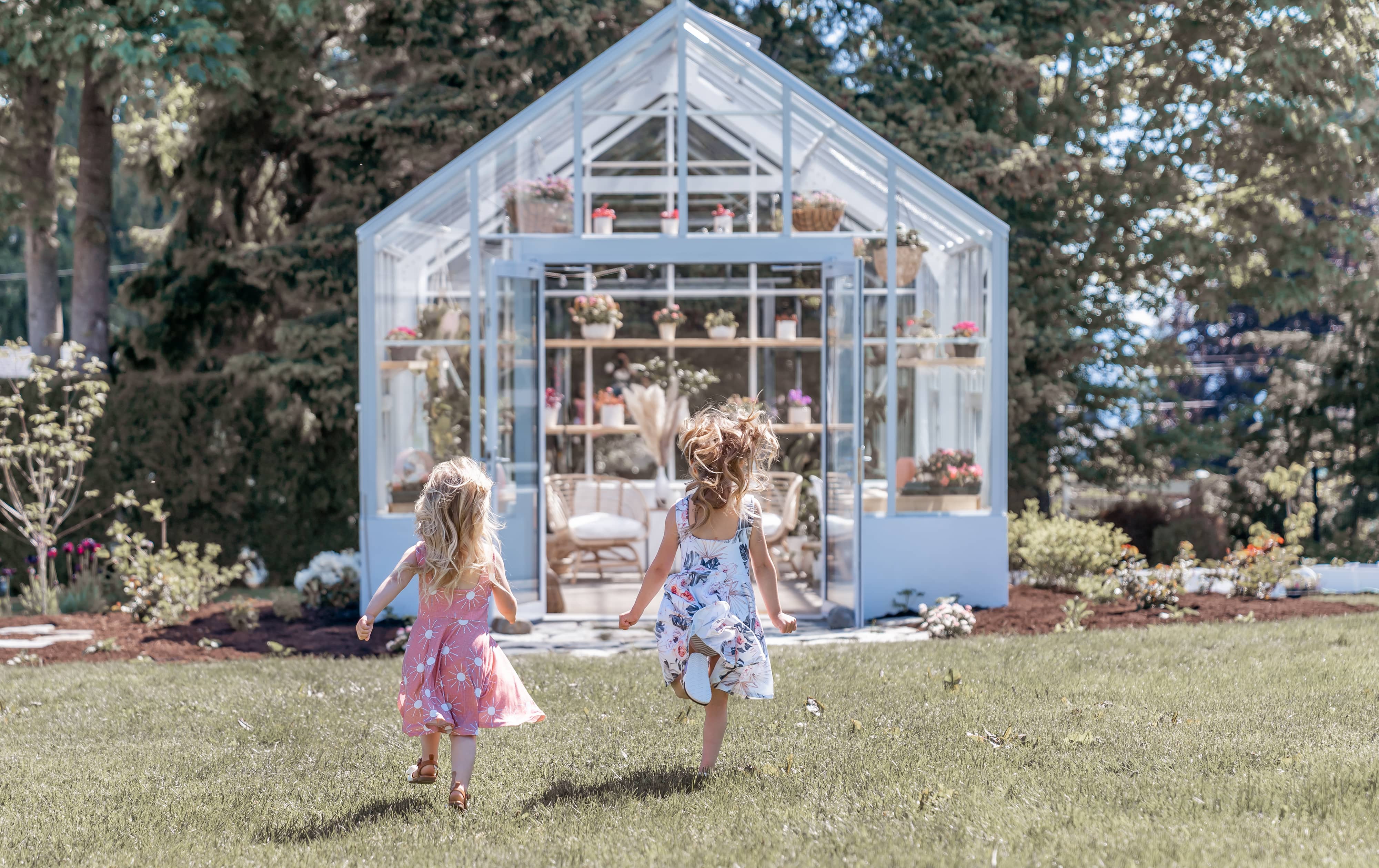 summer greenhouse garden
