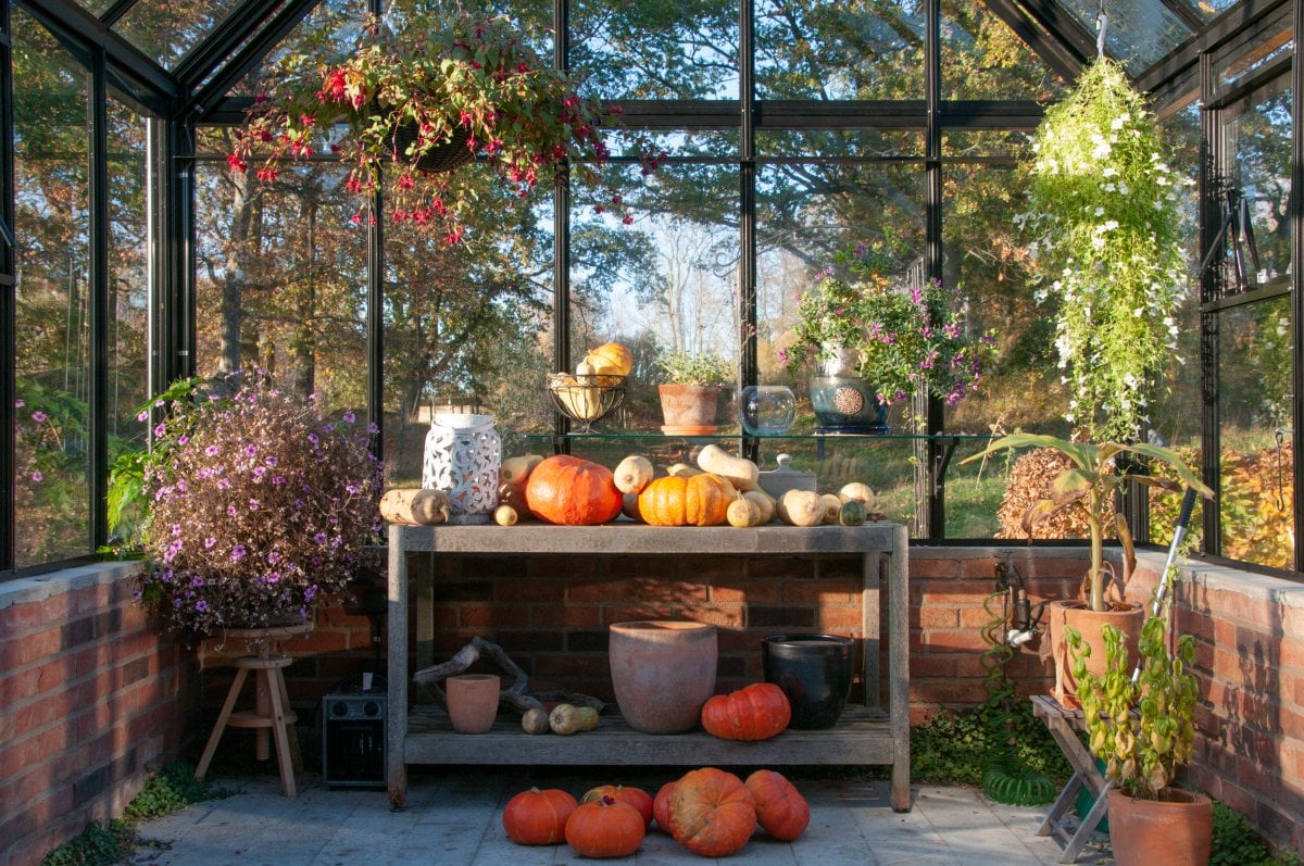 Fall Greenhouse with pumpkins