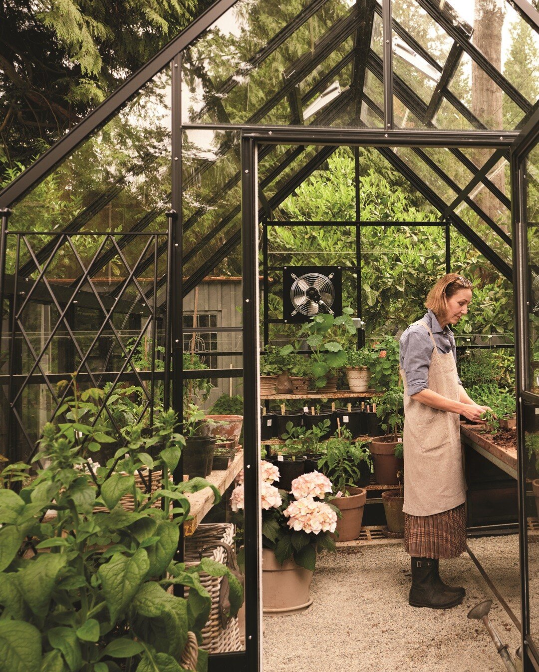 parkside greenhouse