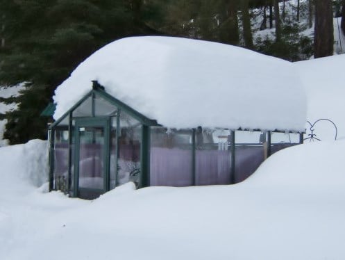 BC Greenhouse Legacy in the Snow