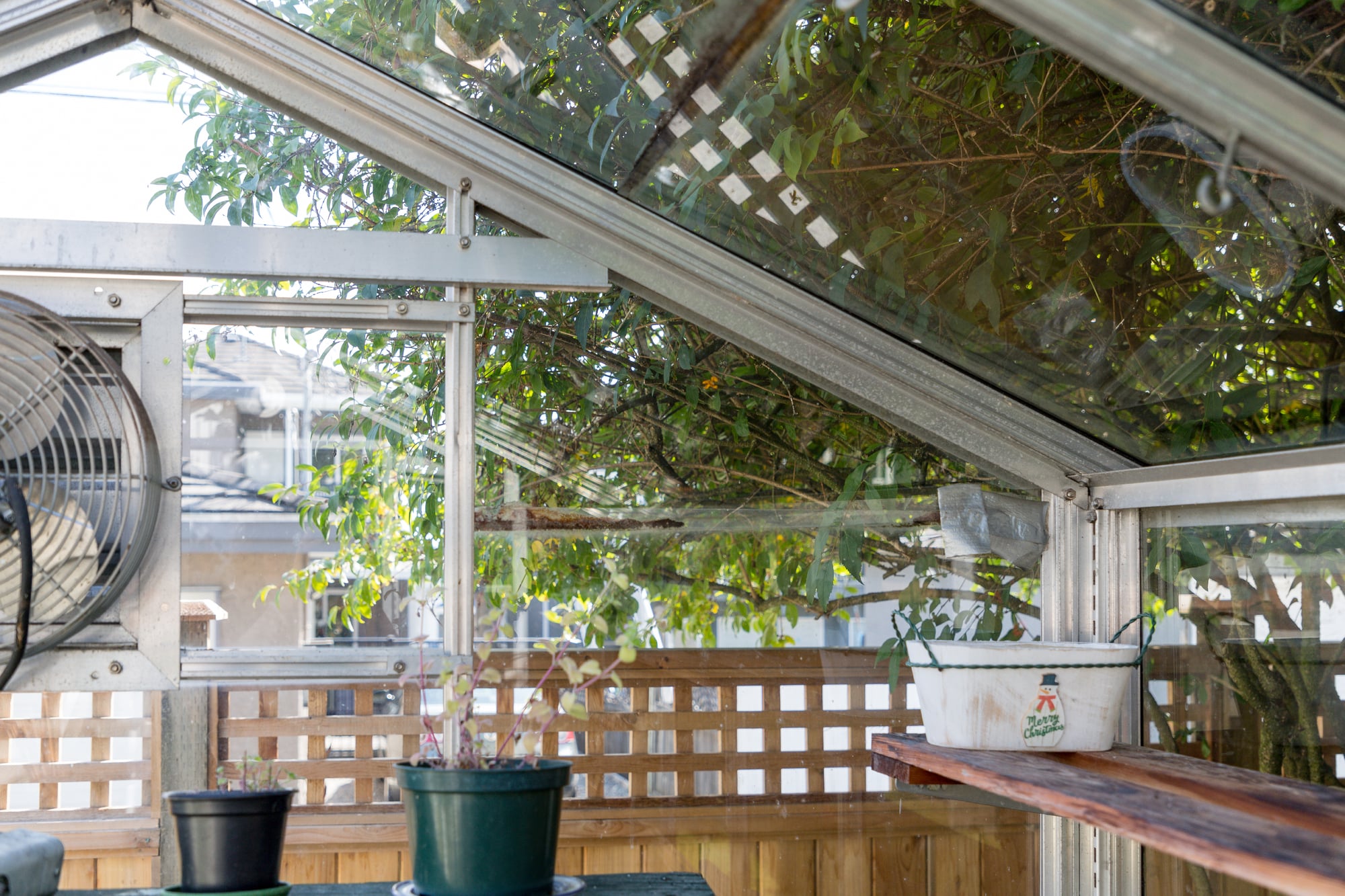 interior of a traditional BC Greenhouse 