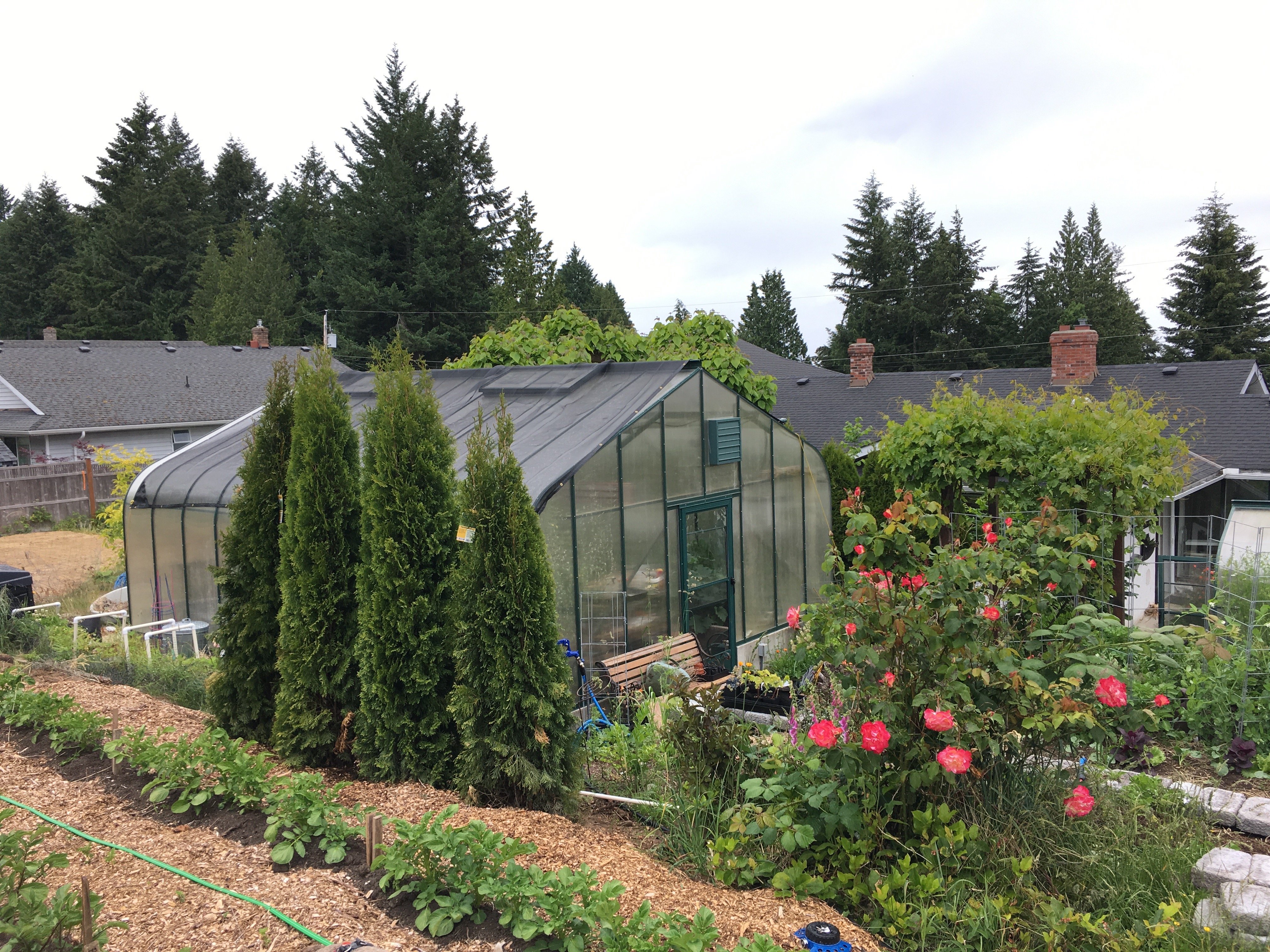 Pacific greenhouse covered in shade cloth