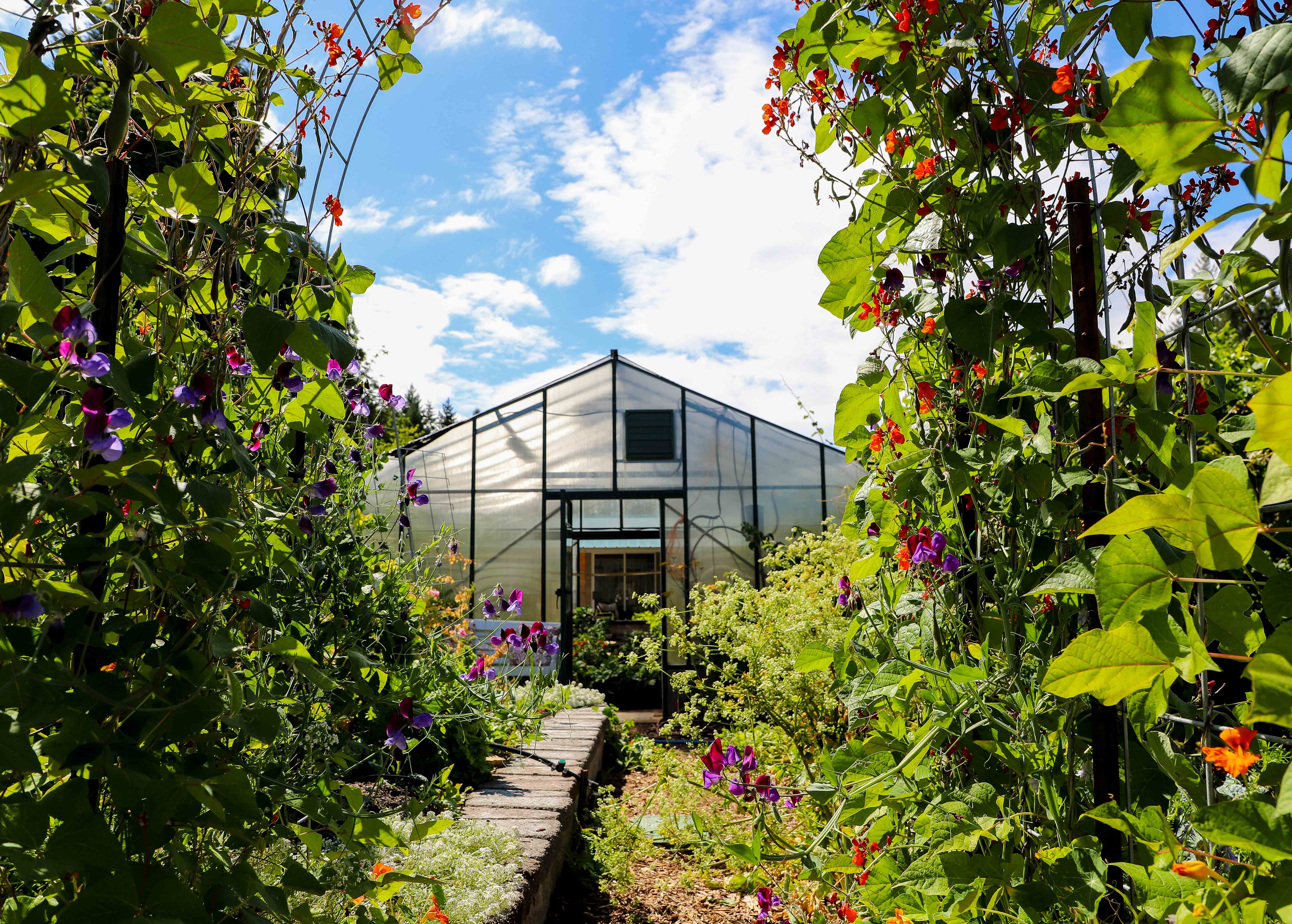 Pacific greenhouse surrounded by flowers
