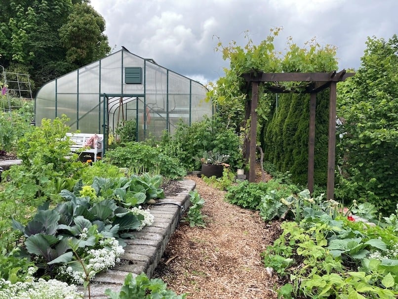 Hügelkultur beds outside my Pacific BC Greenhouse