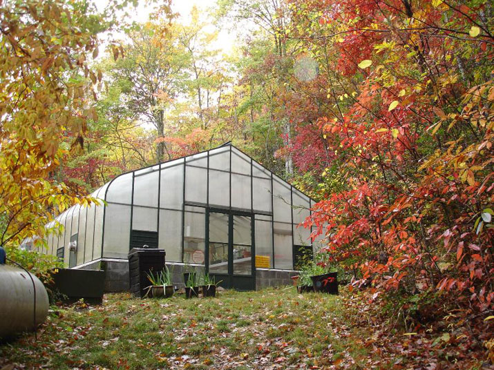 Pacific greenhouse in Fall
