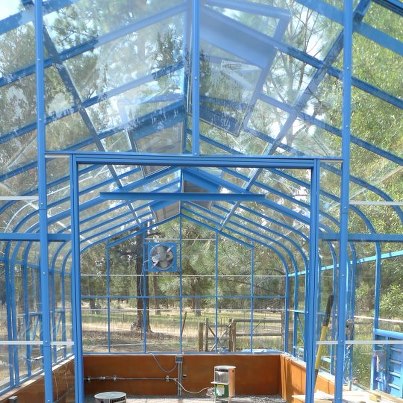 Periwinkle Greenhouse