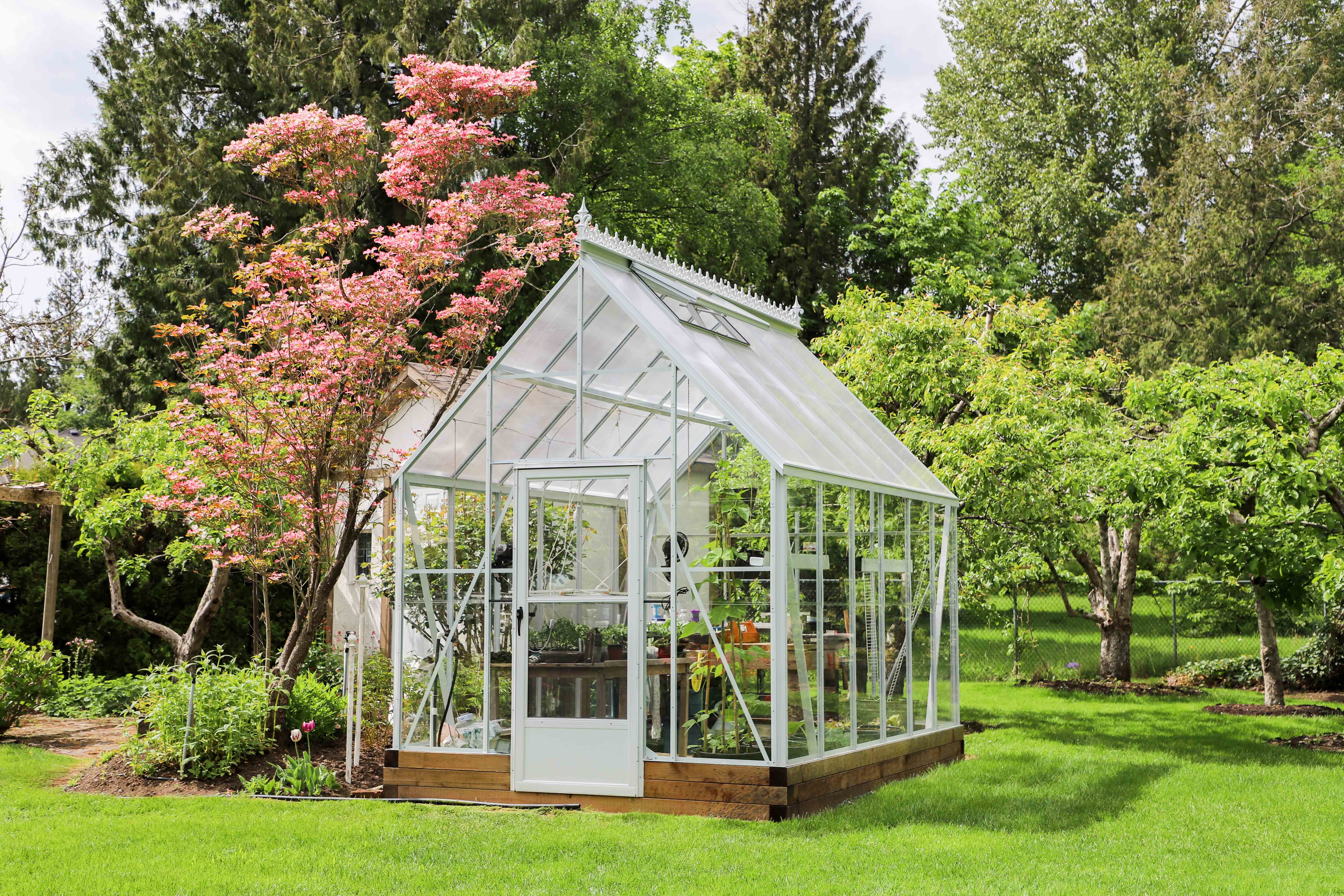 greenhouse garden 