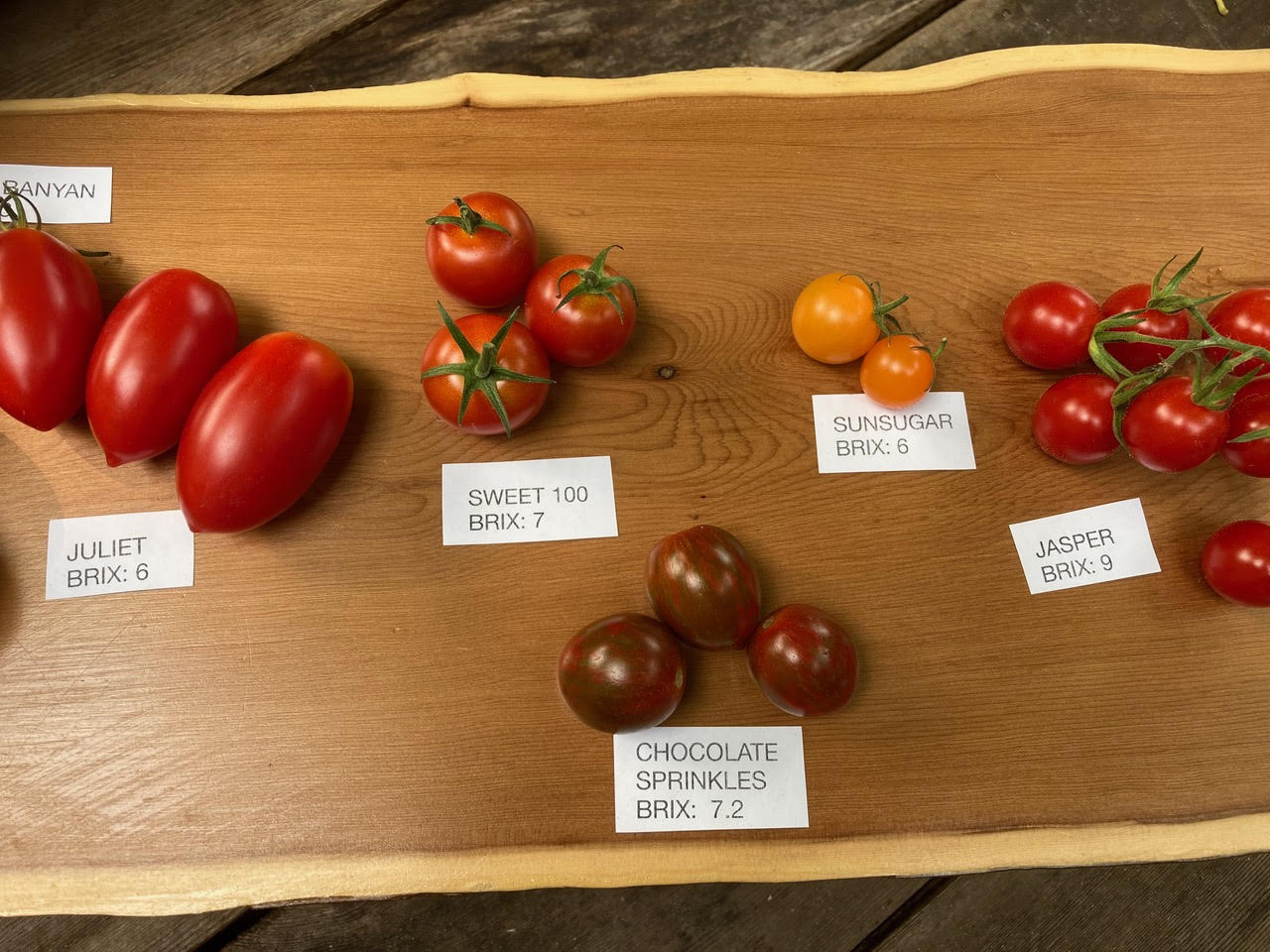 Different Varieties of Tomatoes