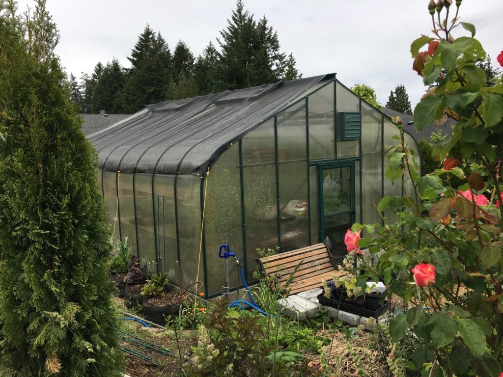 Donna's greenhouse