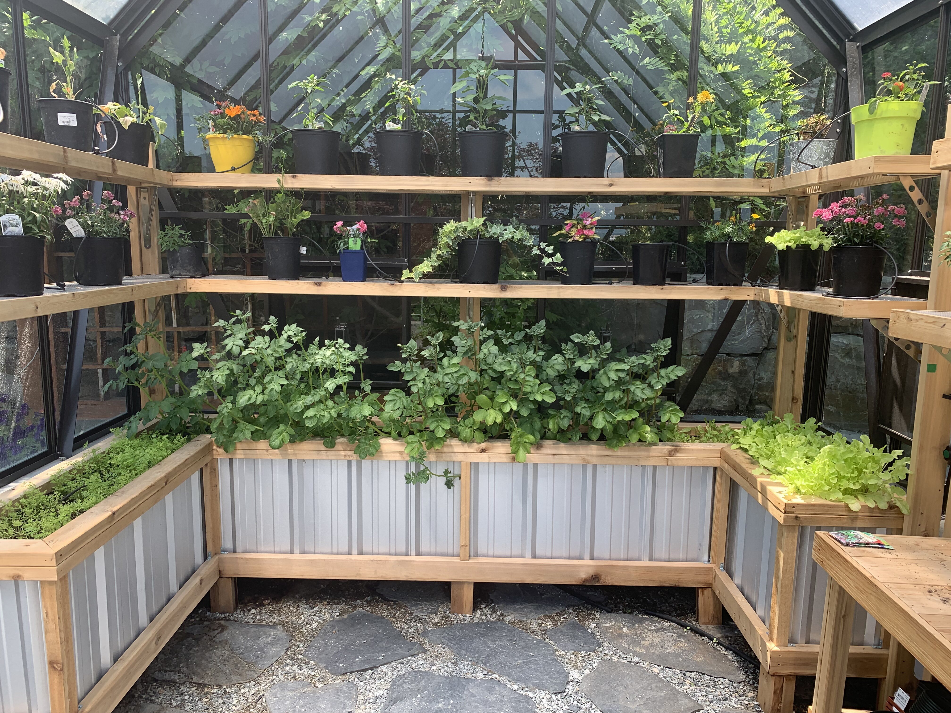 bc greenhouse garden with raised beds