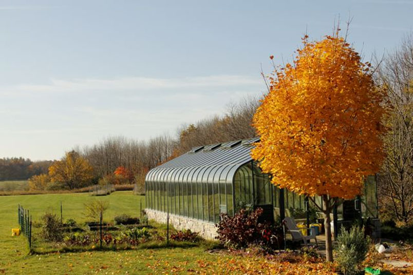 Fall greenhouse