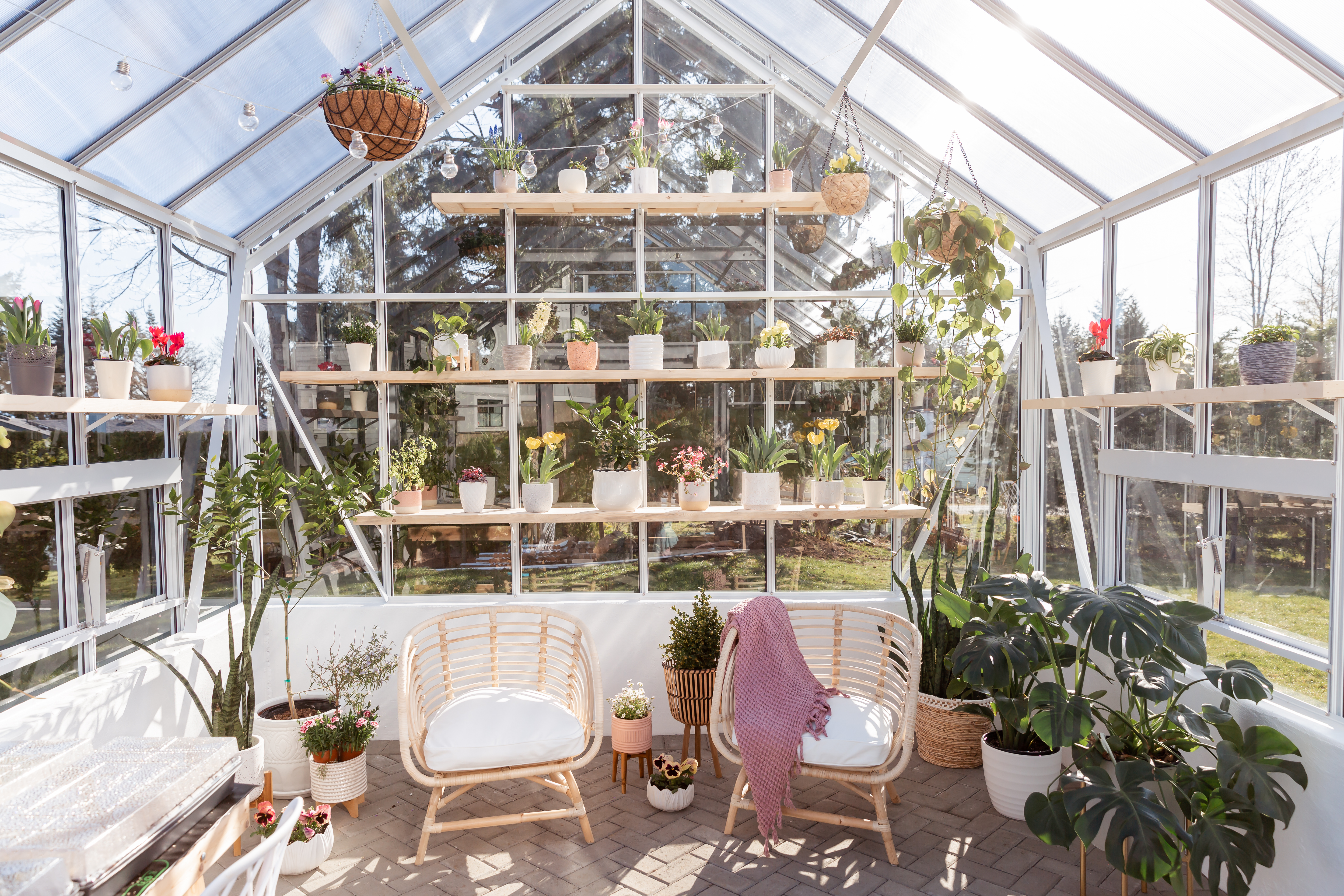 Yew greenhouse